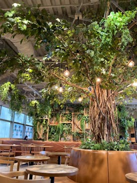 カワスイ 川崎⽔族館に投稿された画像（2023/7/26）