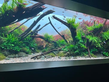 AOAO SAPPOROに投稿された画像（2023/7/26）