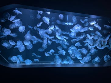 AOAO SAPPOROに投稿された画像（2023/7/26）