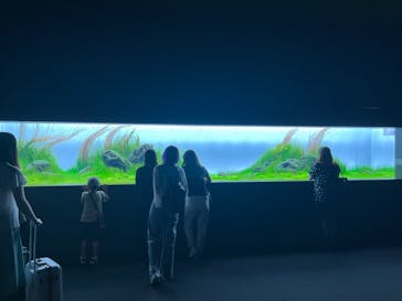 AOAO SAPPOROに投稿された画像（2023/7/26）