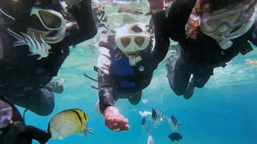 青の洞窟専門店　沖縄ダイビングショップ和に投稿された画像（2023/7/26）