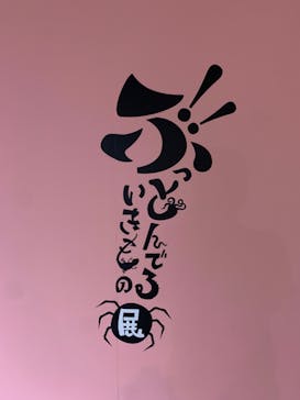 ぶっとんでるいきもの展に投稿された画像（2023/7/26）