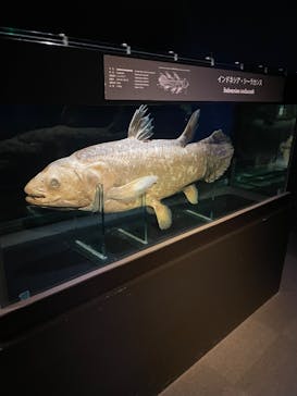 環境水族館アクアマリンふくしまに投稿された画像（2023/7/26）