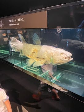 環境水族館アクアマリンふくしまに投稿された画像（2023/7/26）