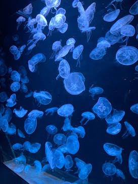 AOAO SAPPOROに投稿された画像（2023/7/26）