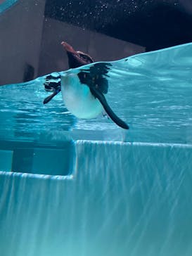 AOAO SAPPOROに投稿された画像（2023/7/26）