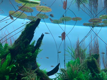 AOAO SAPPOROに投稿された画像（2023/7/26）