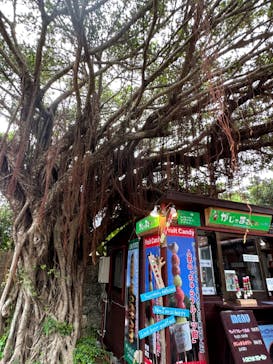 体験王国 むら咲むらに投稿された画像（2023/7/26）