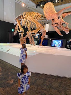 DinoScience 恐竜科学博 2023@TOKYO MIDTOWNに投稿された画像（2023/7/26）