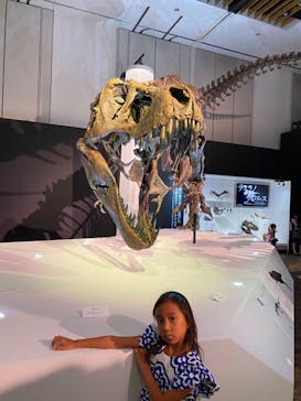 DinoScience 恐竜科学博 2023@TOKYO MIDTOWNに投稿された画像（2023/7/26）