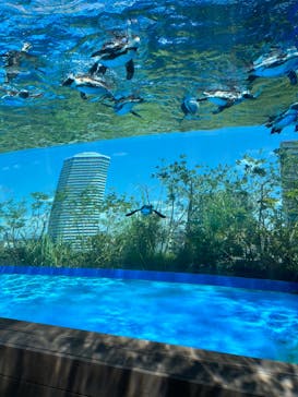 サンシャイン水族館に投稿された画像（2023/7/26）