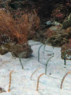 マクセル アクアパーク品川に投稿された画像（2023/7/26）