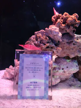 マクセル アクアパーク品川に投稿された画像（2023/7/26）