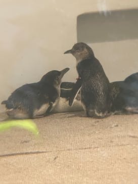 AOAO SAPPOROに投稿された画像（2023/7/26）