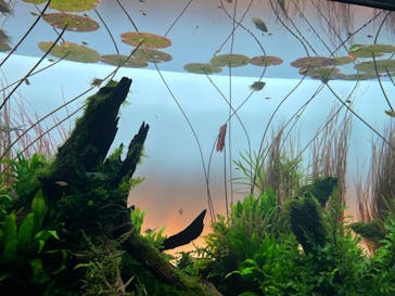 AOAO SAPPOROに投稿された画像（2023/7/26）