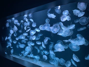 AOAO SAPPOROに投稿された画像（2023/7/26）