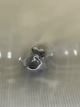 AOAO SAPPOROに投稿された画像（2023/7/26）