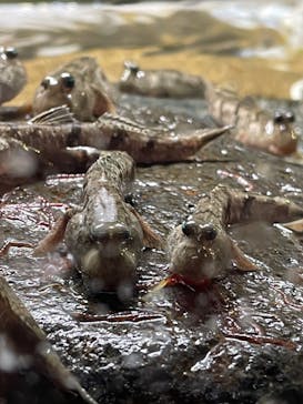 AOAO SAPPOROに投稿された画像（2023/7/26）