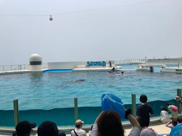 鴨川シーワールドに投稿された画像（2023/7/26）