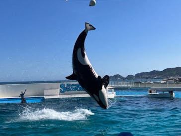 鴨川シーワールドに投稿された画像（2023/7/26）