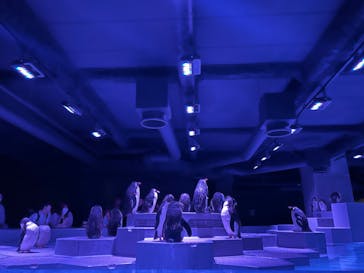 AOAO SAPPOROに投稿された画像（2023/7/26）