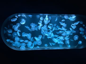 AOAO SAPPOROに投稿された画像（2023/7/26）