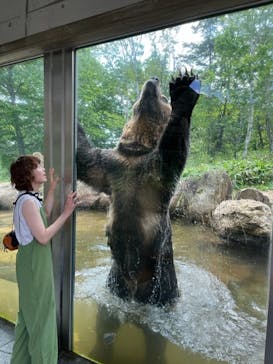 サホロリゾート　ベア･マウンテンに投稿された画像（2023/7/26）