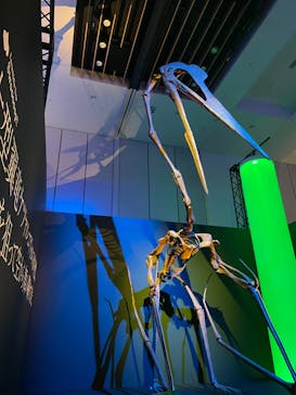 DinoScience 恐竜科学博 2023@TOKYO MIDTOWNに投稿された画像（2023/7/26）