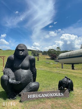 ひるがのピクニックガーデンに投稿された画像（2023/7/26）