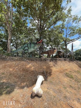 ひるがのピクニックガーデンに投稿された画像（2023/7/26）