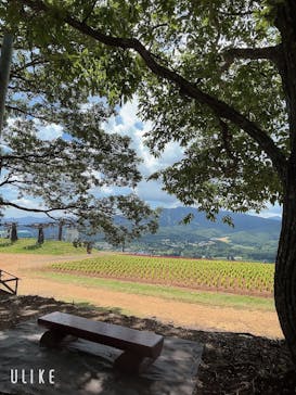 ひるがのピクニックガーデンに投稿された画像（2023/7/26）