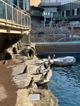 アクアワールド茨城県大洗水族館に投稿された画像（2023/7/26）