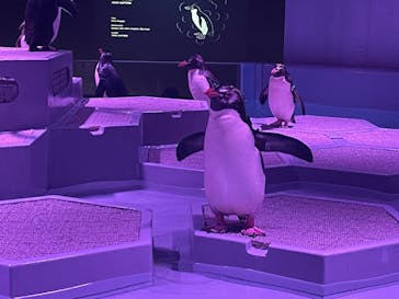 AOAO SAPPOROに投稿された画像（2023/7/26）