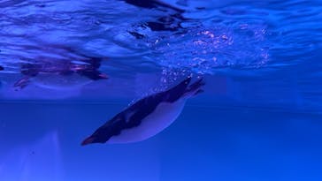 AOAO SAPPOROに投稿された画像（2023/7/26）