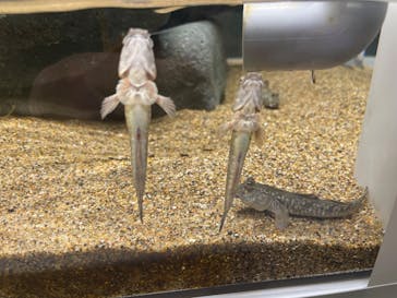 AOAO SAPPOROに投稿された画像（2023/7/26）