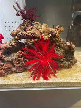 AOAO SAPPOROに投稿された画像（2023/7/26）