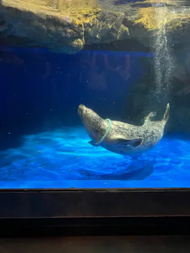 マクセル アクアパーク品川に投稿された画像（2023/7/26）