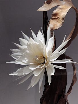 あべのハルカス美術館に投稿された画像（2023/7/26）