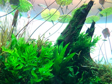 AOAO SAPPOROに投稿された画像（2023/7/26）