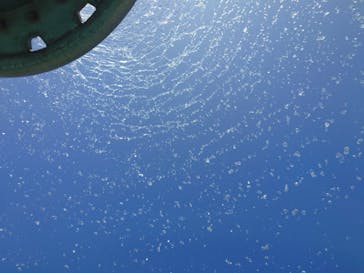 海の中道サンシャインプールに投稿された画像（2023/7/26）