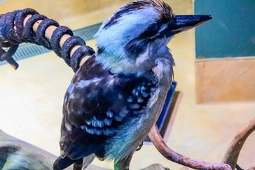 カワスイ 川崎⽔族館に投稿された画像（2023/7/26）