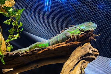 カワスイ 川崎⽔族館に投稿された画像（2023/7/26）