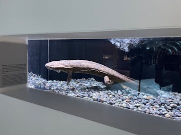 AOAO SAPPOROに投稿された画像（2023/7/26）