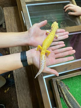 体感型動物園iZooに投稿された画像（2023/7/26）