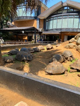 体感型動物園iZooに投稿された画像（2023/7/26）