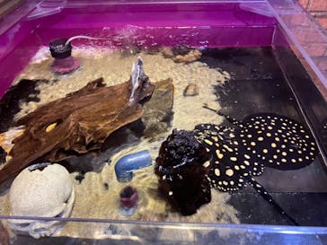 サンシャイン水族館に投稿された画像（2023/7/26）