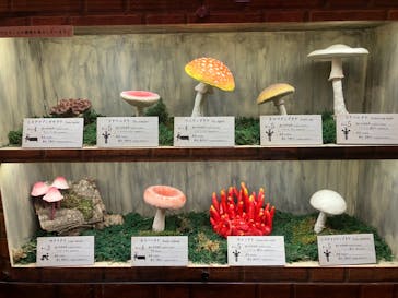 サンシャイン水族館に投稿された画像（2023/7/26）