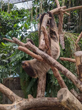 神戸どうぶつ王国に投稿された画像（2023/7/27）