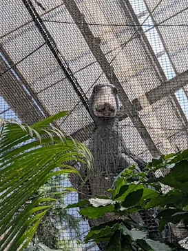 神戸どうぶつ王国に投稿された画像（2023/7/27）