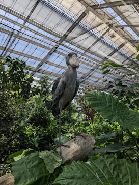 神戸どうぶつ王国に投稿された画像（2023/7/27）